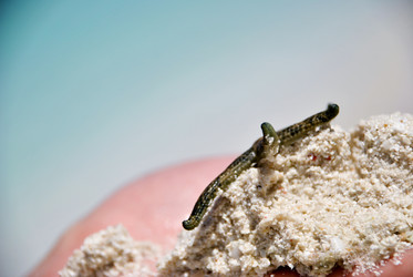 Similar image 142595