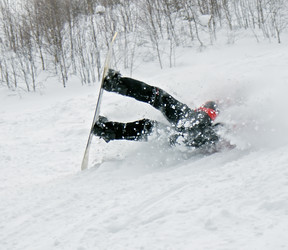 Similar image 142635