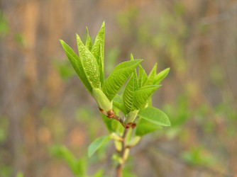 Similar image 142640