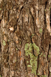 Similar image 142649