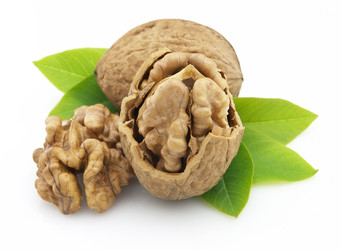 Similar image 142664