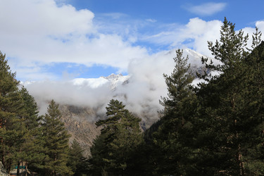 Similar image 142666