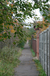 Similar image 142670