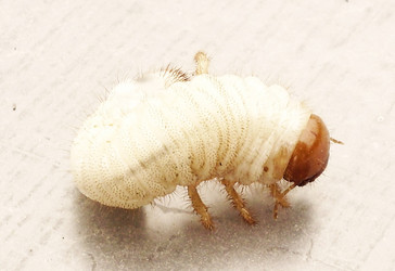 Similar image 142680