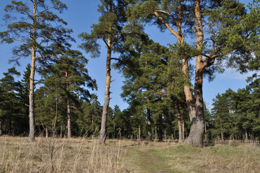 Similar image 142682