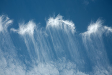 Similar image 142696