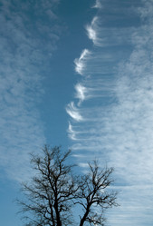 Similar image 142701