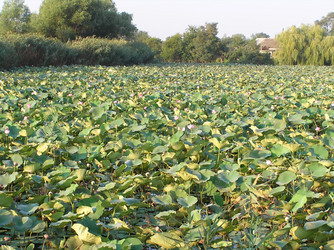 Similar image 142718