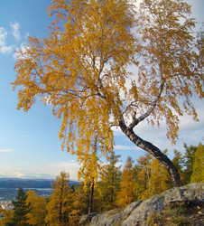 Similar image 142743