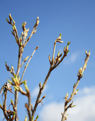 Similar image 142747