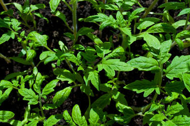 Similar image 142750