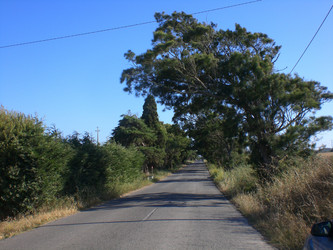 Similar image 142788