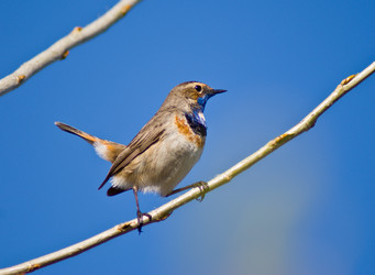 Similar image 142811