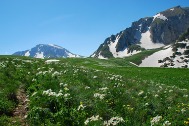 Similar image 142823