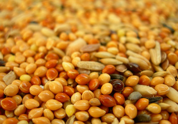 Similar image 142841