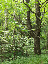 Similar image 142912