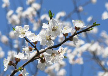 Similar image 142919