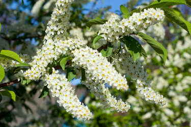 Similar image 142950