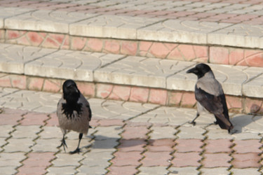 Similar image 142964