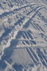 Similar image 142967