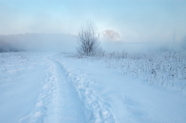 Similar image 142991