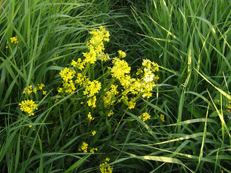 Similar image 143031