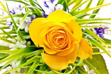 Similar image 143034