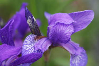 Similar image 143039