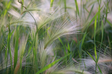 Similar image 143048