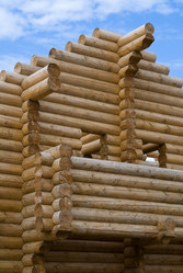 Similar image 143081