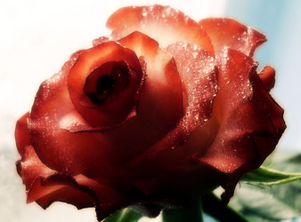 Similar image 143107