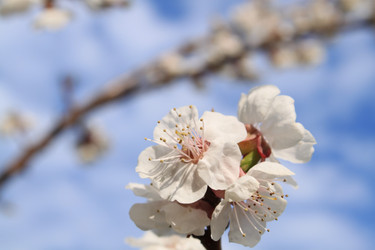 Similar image 143130