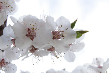 Similar image 143131