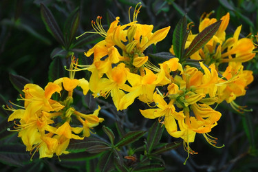 Similar image 143134