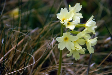 Similar image 143135