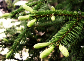 Similar image 143136