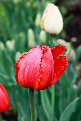 Similar image 143138