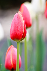 Similar image 143139