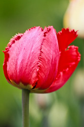 Similar image 143140