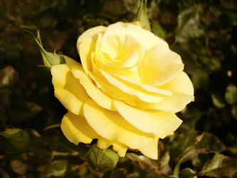 Similar image 143167