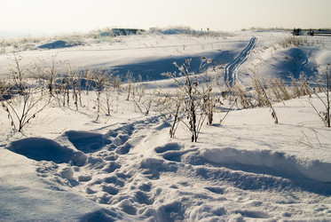 Similar image 143191