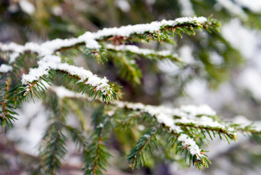 Similar image 143216