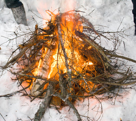 Similar image 143217