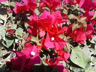 Similar image 143283