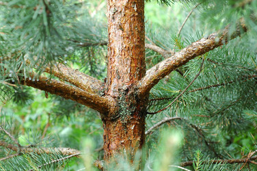 Similar image 143288