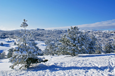 Similar image 143297