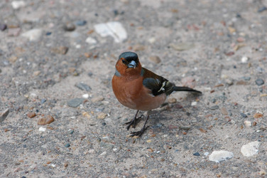 Similar image 143299