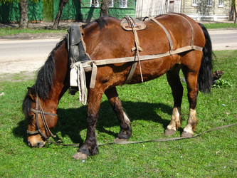 Similar image 143301