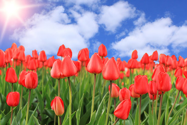 Similar image 143302