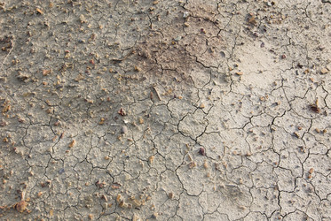 Similar image 143308